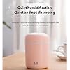 H2O Humidifier