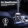 H2O Humidifier