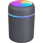H2O Humidifier